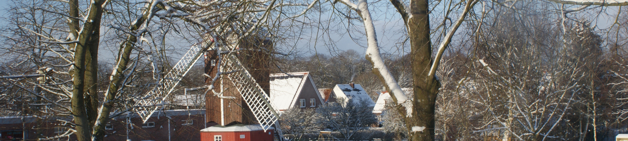 Bockwindmühle im Schnee